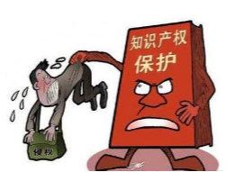 美国海关严抓知识产权侵权货物，卖家别再铤而走险